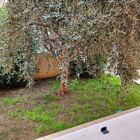 Se052 - Marotta, Delizioso Bilocale Con Giardino Lägenhet *